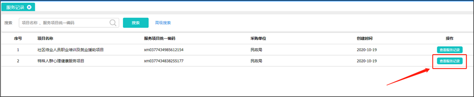 社工信息系统1-查看项目