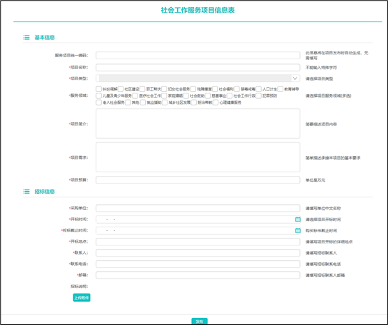 社工信息系统3-项目发布表