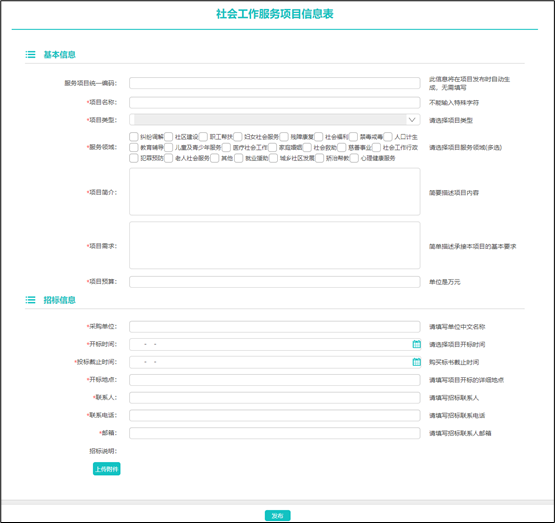 社工信息系统4-项目发布页